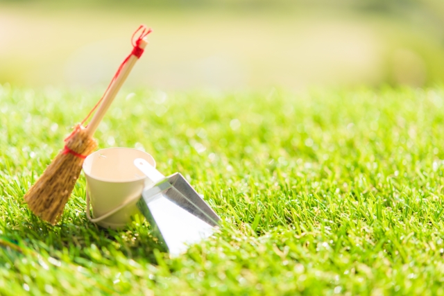 芝生のお手入れには サッチング が重要 方法 やり方 道具 お庭マスター